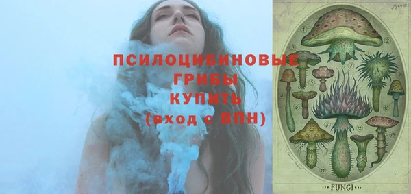прущие грибы Горнозаводск