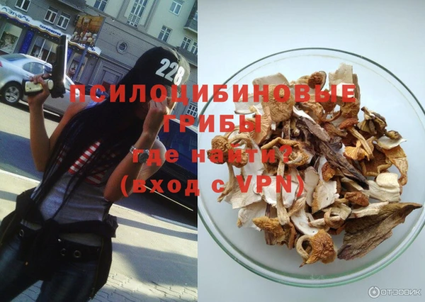 прущие грибы Горнозаводск