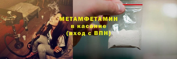 прущие грибы Горнозаводск