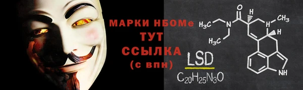 прущие грибы Горнозаводск