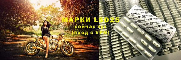 прущие грибы Горнозаводск