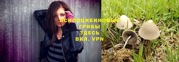 прущие грибы Горнозаводск