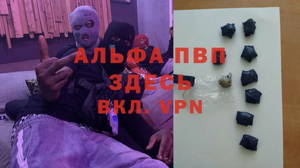 прущие грибы Горнозаводск